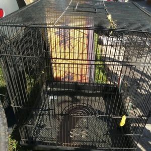 bird cage